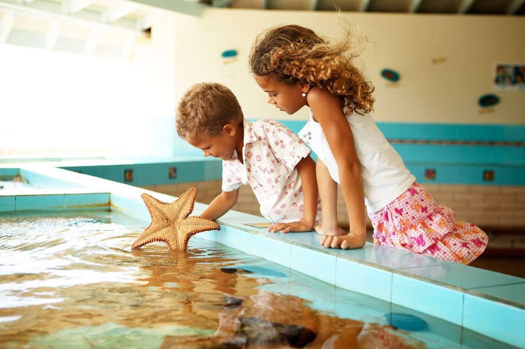 Curacao Sea Aquarium, Auto Huren Op Curacao