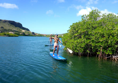 Alquiler de coches Curaçao