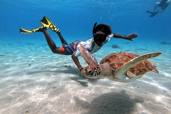 Playa Piskado Alquiler de coches Curacao