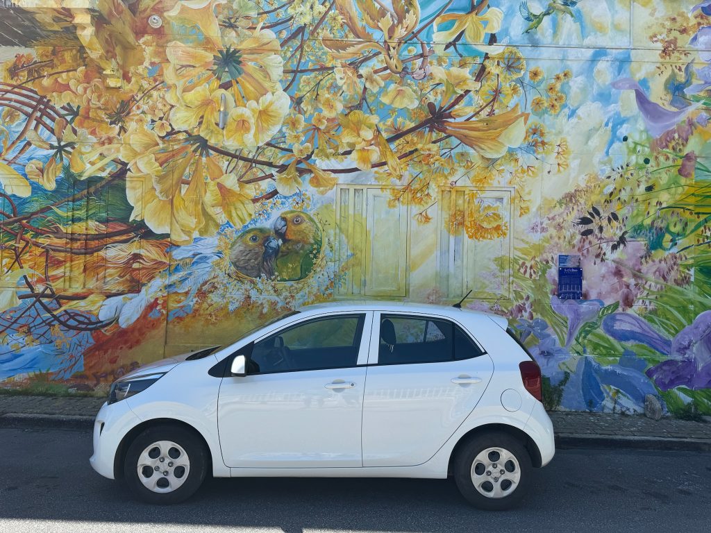 aluguel de carros baratos em curacao Kia Picanto