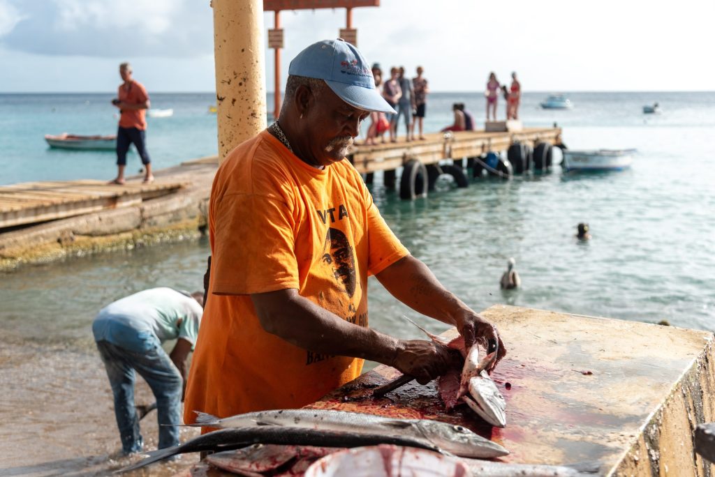 curacao playa grandi car rental