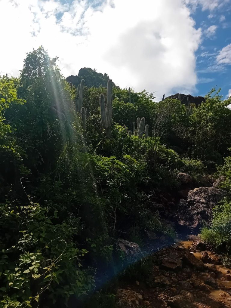 car rental curacao christoffelberg hike